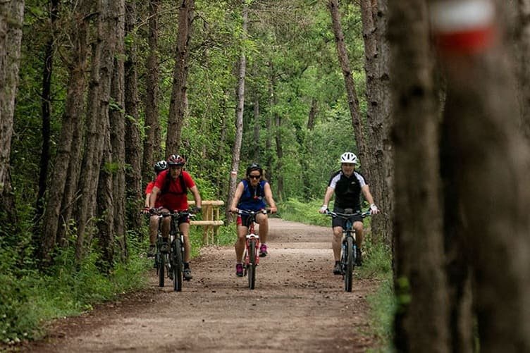 Passeig en bicicleta pels boscos del Berguedà